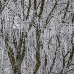 VHRS_-002_0226-5_WEB