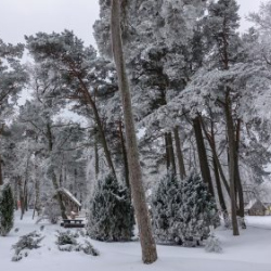 VHRS_-002_0226-63_WEB