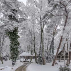 VHRS_-002_0226-8_WEB