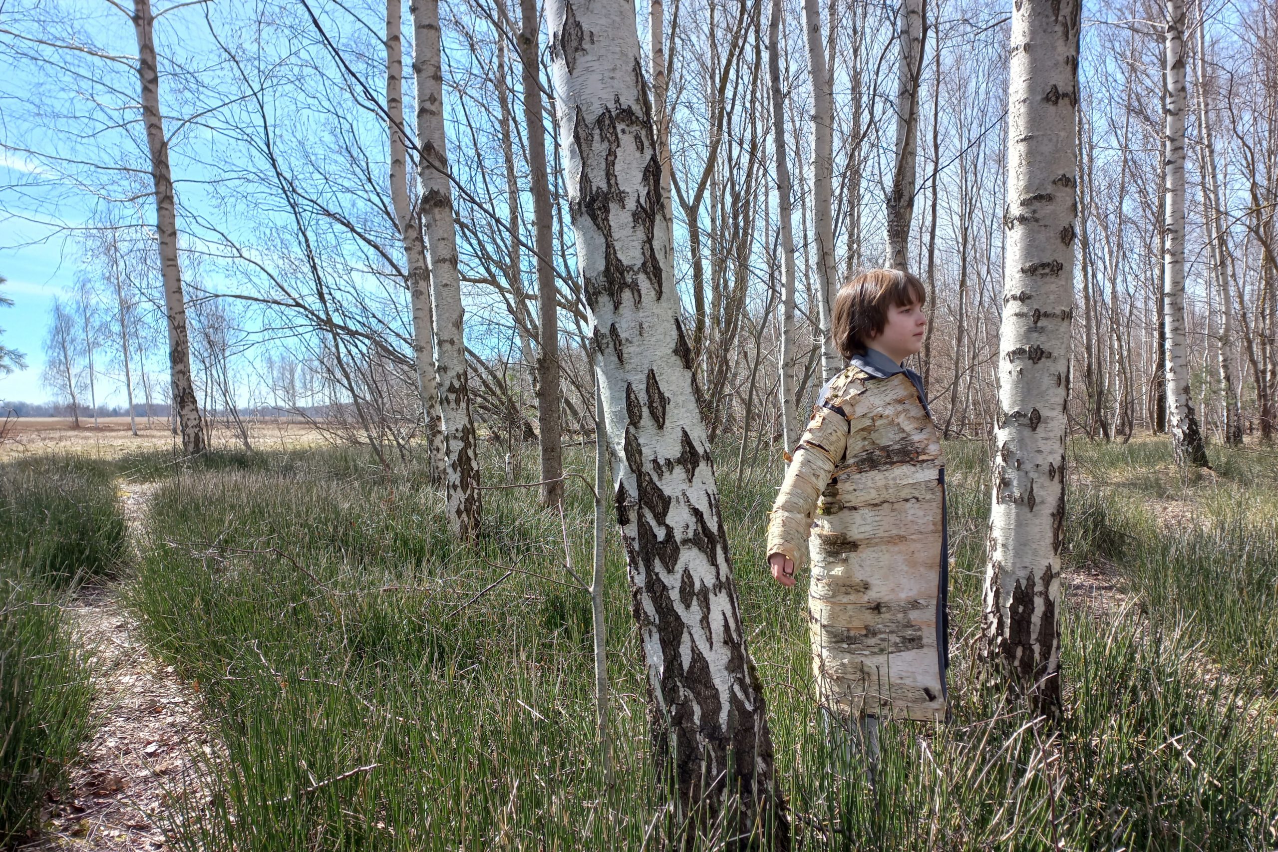 Bērza tāšu mētelītis