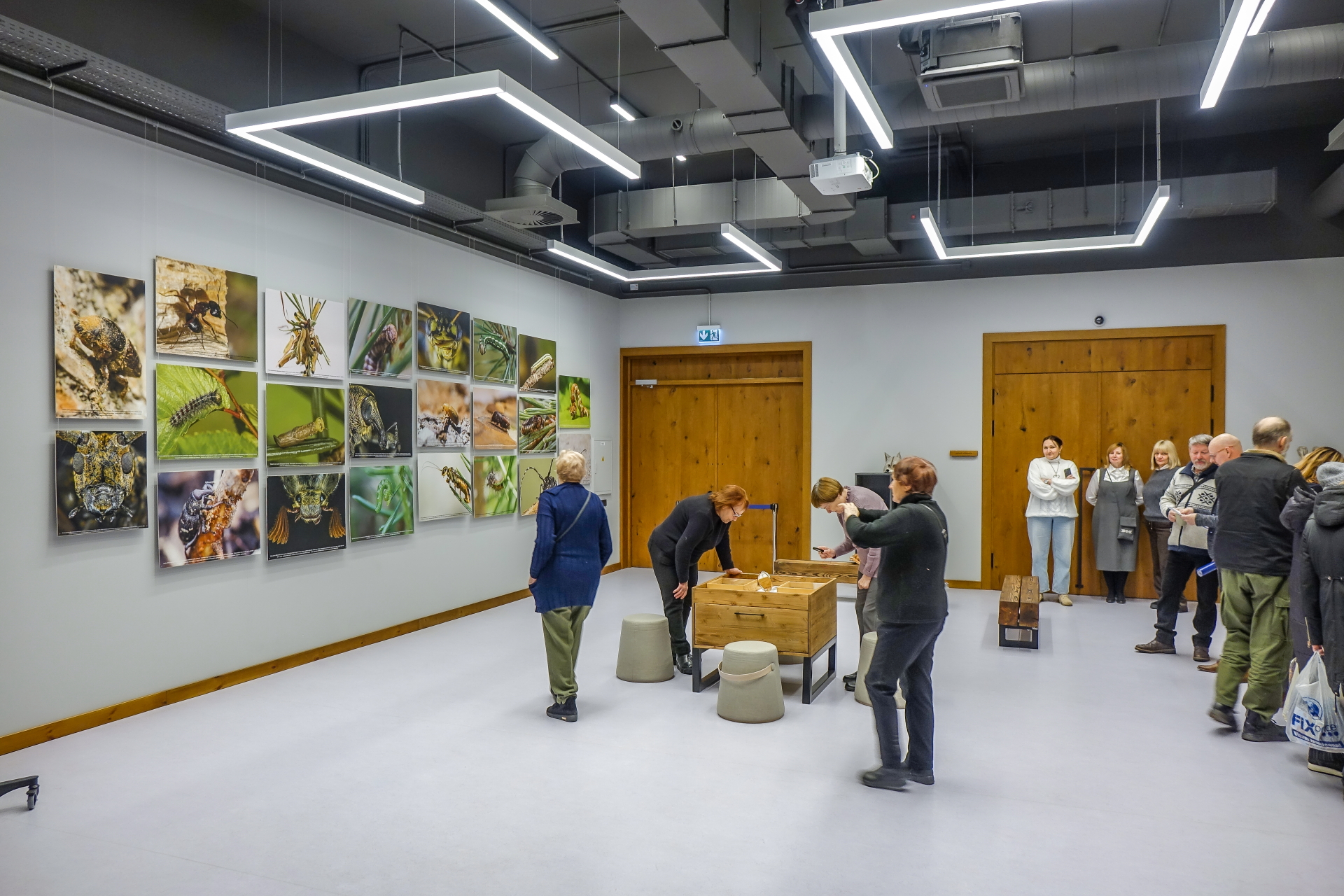 Valsts augu aizsardzības dienesta ceļojošā izstāde “Skaistie un bīstamie augu kaitnieki” Piejūras brīvdabas muzejā