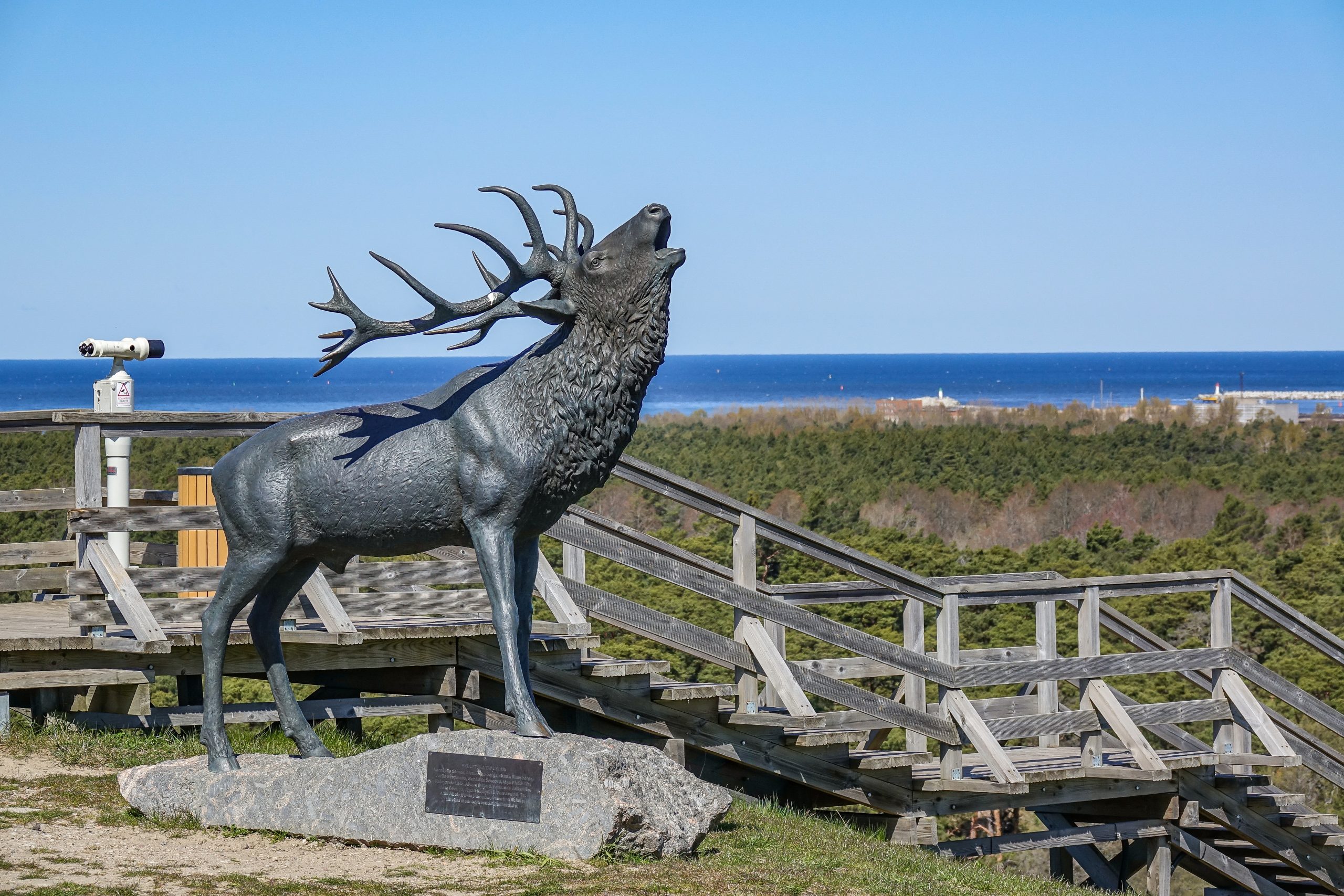 Staltbriežu introdukcijai Ventspils pusē – 115 gadi