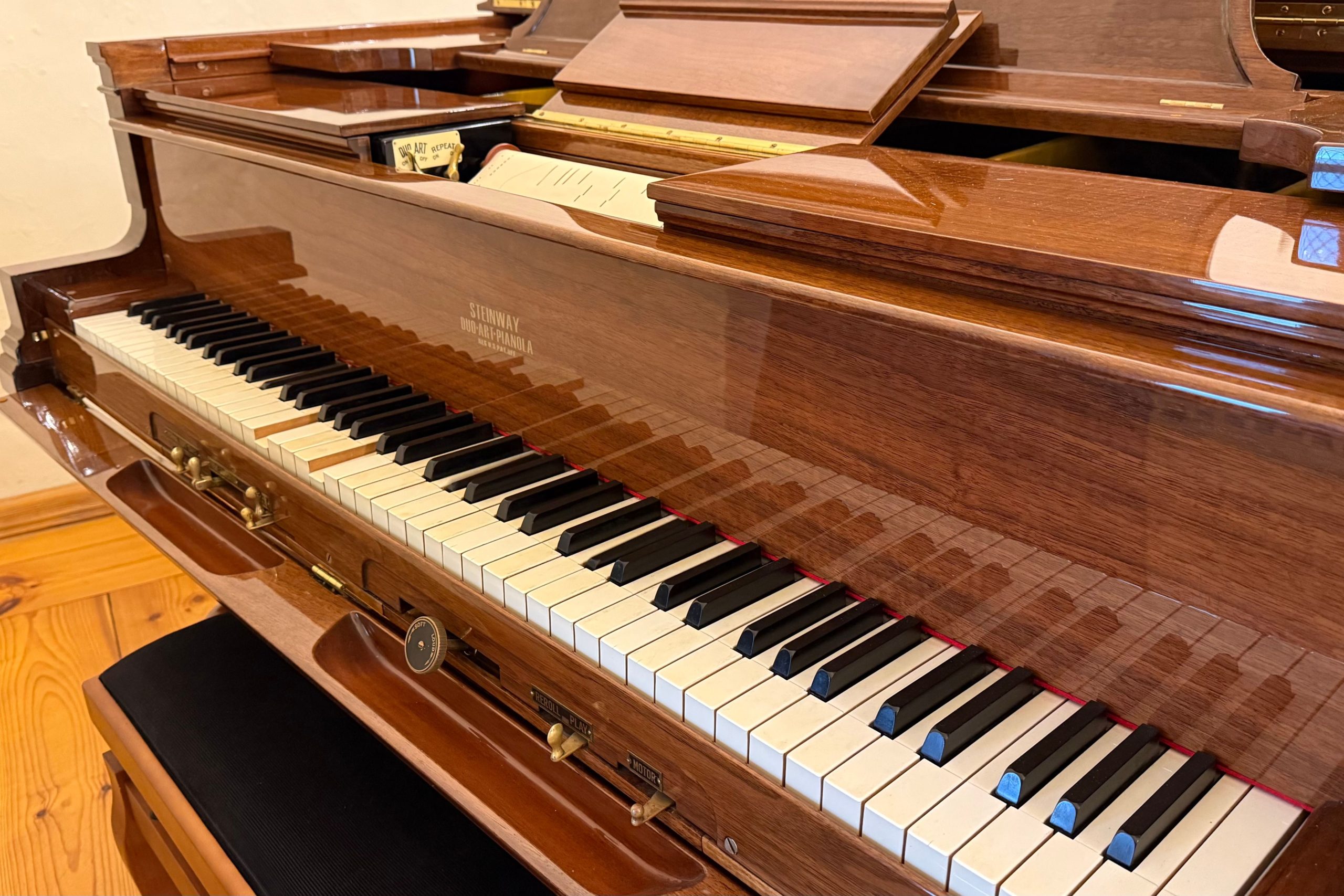 Steinway & Sons būvētās klavieres aprīkotas ar Duo-Art atskaņošanas mehānismu, kas spēj precīzi atdarināt pianista spēli – ar dinamiku, noskaņu un izteiksmi. Livonijas ordeņa pils kapitulu zālē